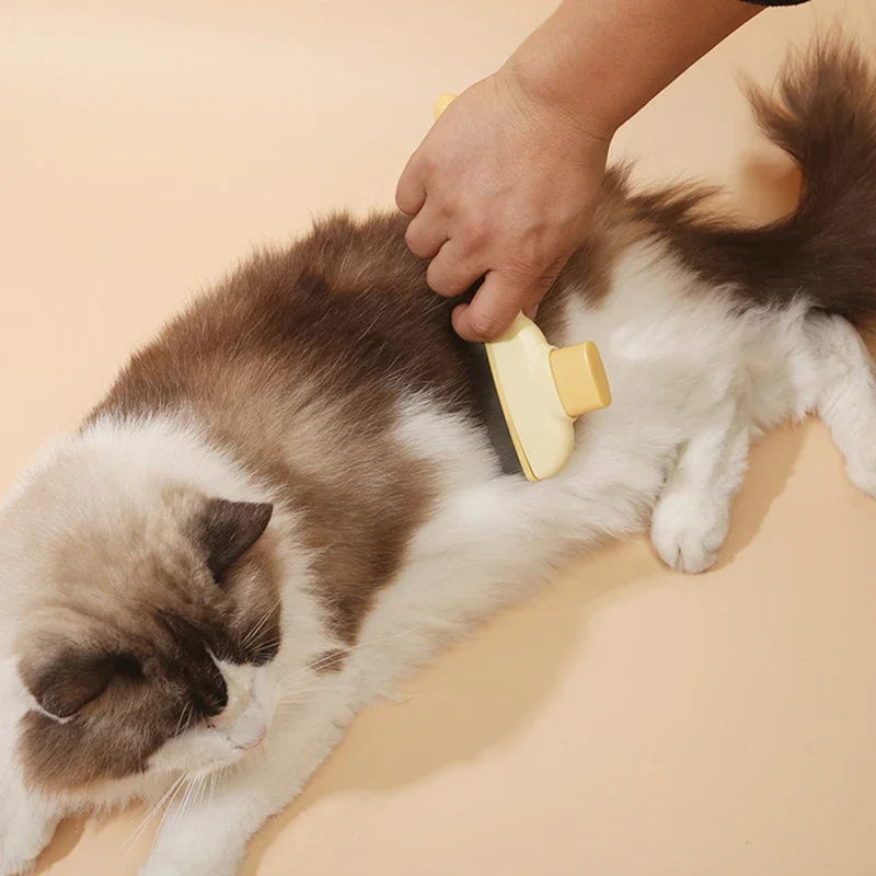 PawsomeCare One Click Grooming Brush