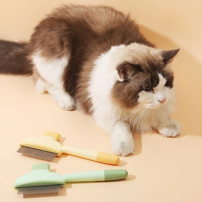 PawsomeCare One Click Grooming Brush