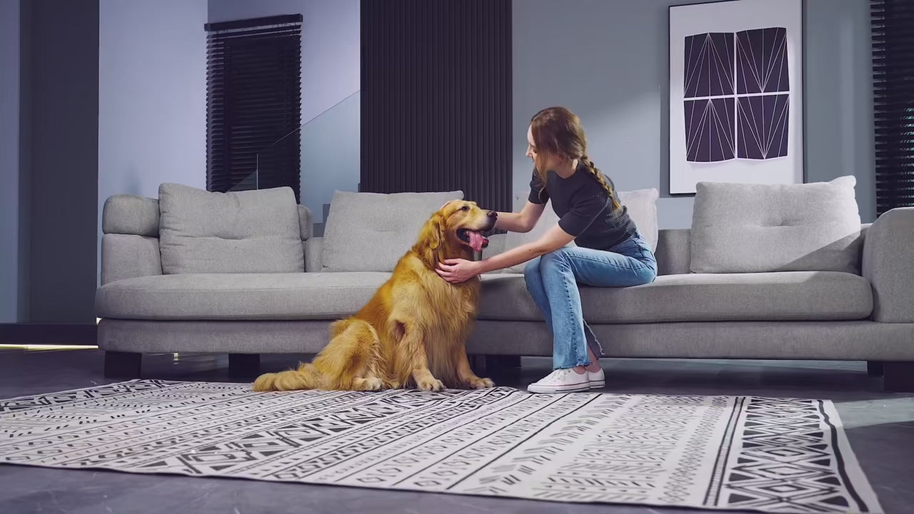 Pet Grooming All in one kit + Vacuum (2.3L)